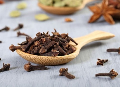 تصویر 2 از خرید و قیمت گیاه دارویی میخک + فروش صادراتی